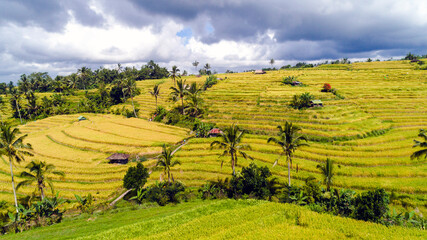 Jatiluwih Rice Terraces in Bali.
