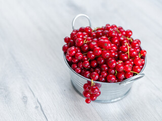 A metal basin filled with red currants