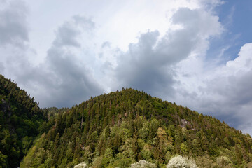 mountain covered with trees against cloudy sky, used as background or texture
