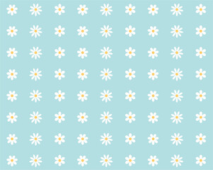 Seamless pattern with camomile flower on blue background, flat design, cute round flower plant nature collection, decoration element, isolated, vector illustration