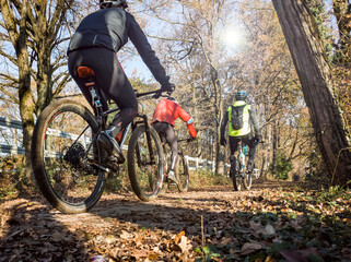 Fototapeta na wymiar Cycling tour in a woodland