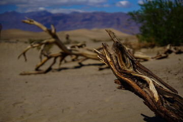 death valley 