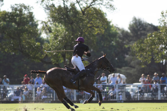 Jugador de polo pegando a la bocha en torneo argentino