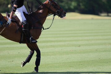 Jugador de polo pegando a la bocha en torneo argentino