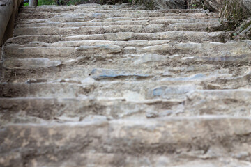 escaleras de piedra o madera en el bosque