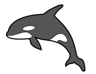 Obraz premium シャチ(白黒線)