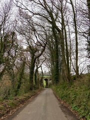 Obraz premium WINCHELSEA, EAST SUSSEX, UK - JULY 12th 2020 : The New Landgate entrance arch to Winchelsea in East Sussex, dating from 1300 part of old town wall