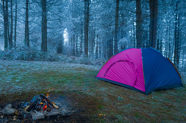 Camping during the winter by a beautiful fire. Pine forest, snow, fire, tent.