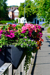 Flowers in pots in the street of Warwick, England, UK