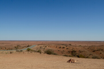 A view of arid countryside between Silverton and Broken Hill in western New South Wales