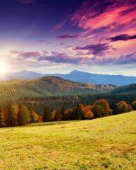 Majestic morning mountain landscape with colorful forest.