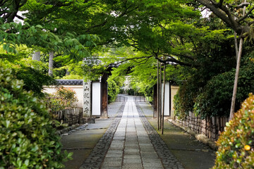 Japanese alley way with green trees and fresh leaves. Long distance view. Japanese characters....