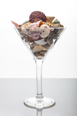 Studio shot of shells in martini glass