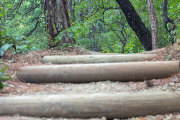 escaleras de piedra o madera en el bosque