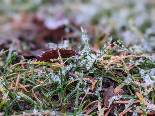 snow on the ground