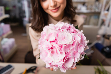 Close up view of blooming hydrangea with blurred female florist on background