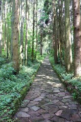 熊本市　草枕の道	