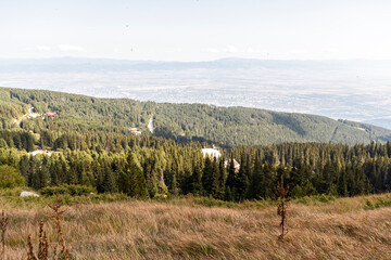 Autumn Landscape of Vitosha Mountain, Bulgaria
