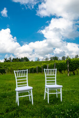 Chairs for the wedding in the vineyard