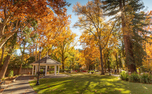 Autumn landscape photo of a city park with a white pavilion on left side of photo. Tall elm trees with yellow and orange leaves and green grass in the foreground. Scattered leaves in foreground. 