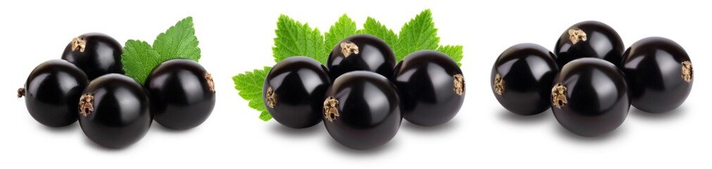 black currant with leaves isolated on white background with clipping path and full depth of field. Set or collection