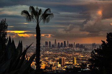 After Rain of LA View From Hollywood Hills - obrazy, fototapety, plakaty