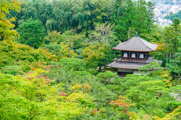 Fototapeta na wymiar 京都　銀閣寺