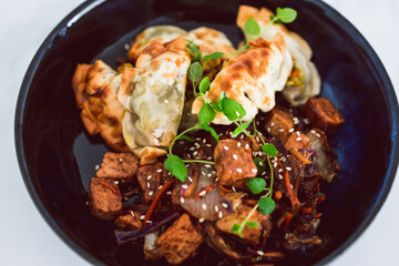plant-based food, vegan gyozas with teriyaki vegetables and marinated tofu bites