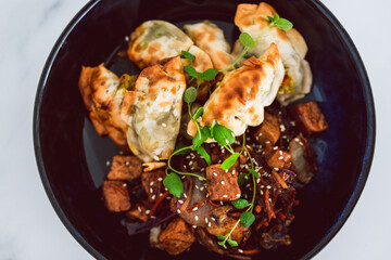 plant-based food, vegan gyozas with teriyaki vegetables and marinated tofu bites
