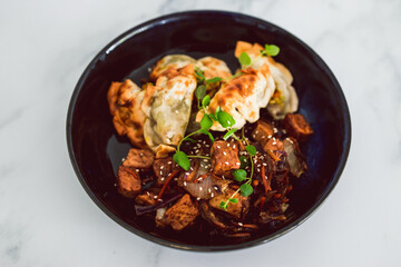 plant-based food, vegan gyozas with teriyaki vegetables and marinated tofu bites