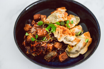 plant-based food, vegan gyozas with teriyaki vegetables and marinated tofu bites