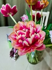 Obraz premium pink tulips in vase