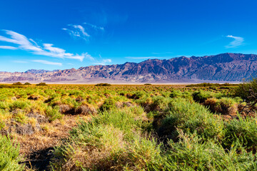 USA, CA, 30 of November 2020, Death Valley, Scenic view.  Lifeless desert with it`s own Flora. 