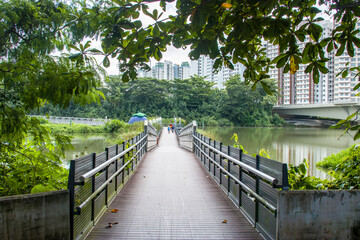 Singapore Nov 30th 2020: the view from Floating Wetland in Sengkang Riverside park,  located at Anchorvale Street and Fernvale Street abutting Sungei Punggol, also home to a constructed wetland.
