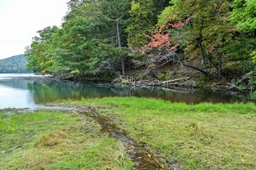紅葉し始めたオンネトー湖の晩秋の情景＠北海道