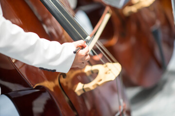 Double bass player in orchestra performance