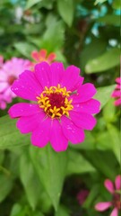 Obraz premium So here's a close-up of a paper flower