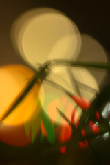 Silhouette of grasses on the background of bright round lights from car headlights, blurred background and contrasting front background. 