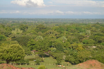 Purificaci&oacute;n Tolima