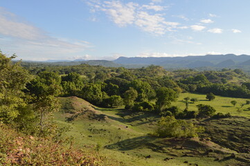 Purificaci&oacute;n Tolia&iquest;ma 