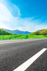 Asphalt road and green mountain with bamboo forest natural landscape.