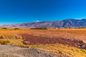USA, CA, 30 of November 2020, Death Valley, Scenic view.  Lifeless desert with it`s own Flora. 
