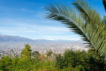 Fototapeta na wymiar Santiago, Chile skyline with a palm tree and green plants as foreground and the Andes mountain range for background. Sunny day and blue sky.