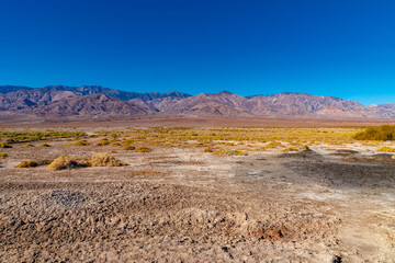 Fototapeta na wymiar USA, CA, 30 of November 2020, Death Valley, Scenic view. Lifeless desert with it`s own Flora. 