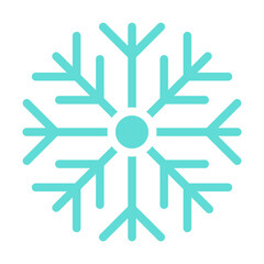 Fototapeta premium snowflake