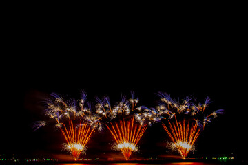 colorful fireworks,Beautiful multi color fireworks explosions lighting sky over trees silhouette...