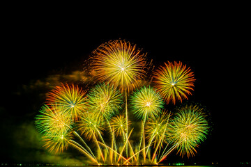 colorful fireworks,Beautiful multi color fireworks explosions lighting sky over trees silhouette and over an illuminated,celebration concept