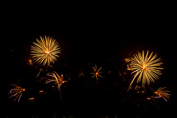 colorful fireworks,Beautiful multi color fireworks explosions lighting sky over trees silhouette...