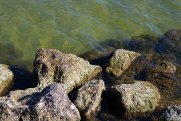 rocks in the water 