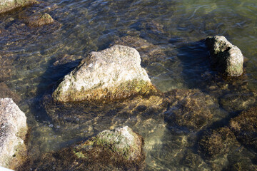 rock in the water